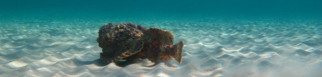 MORE 2 SEA – Meer Zum Sehen